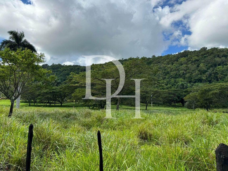 Parcel, Dominican Republic, Maria Trinidad Sanchez, Cabrera photo 3
