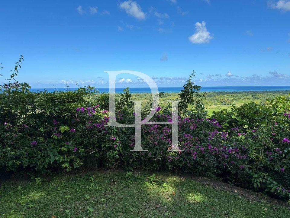 Parcel, Dominican Republic, Maria Trinidad Sanchez, Cabrera photo 4