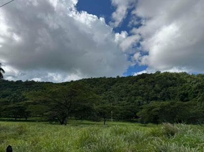 Parcel, Dominican Republic, Maria Trinidad Sanchez, Cabrera photo 2