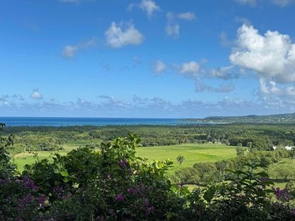 Land in Cabrera, Dominican Republic (ID:62939)