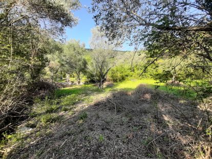 Parcel, Montenegro, Kotor c., Kotor, 250 000 € photo 3