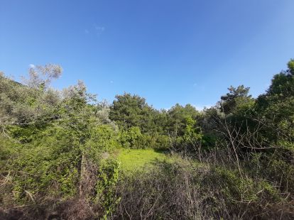 Parcel, Montenegro, Kotor c., Kotor, 250 000 € photo 4