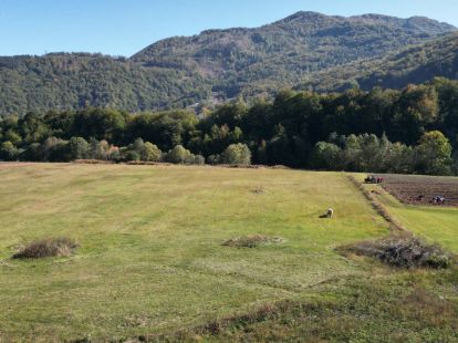 Parcel, Montenegro, Kolasin c., Kolasin, 70 € photo 4