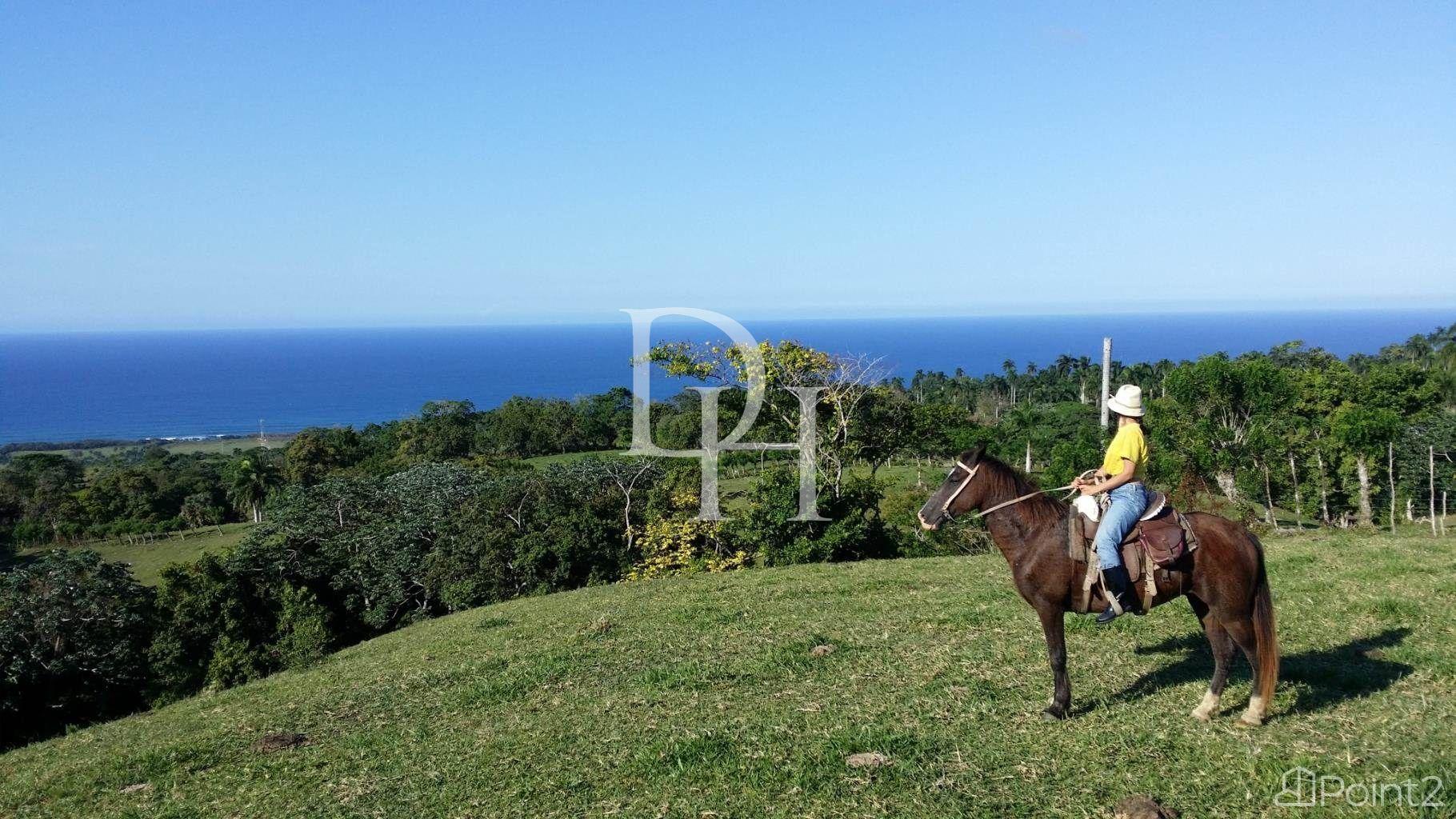 Parcel, Dominican Republic, Maria Trinidad Sanchez, Cabrera photo 2