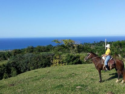 Parcel, Dominican Republic, Maria Trinidad Sanchez, Cabrera photo 2