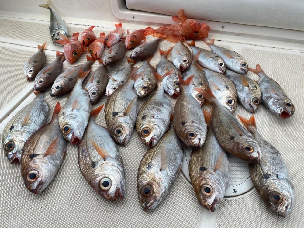 Морская рыбалка в Барселоне - 980€ - Ref: 9662 фото 9