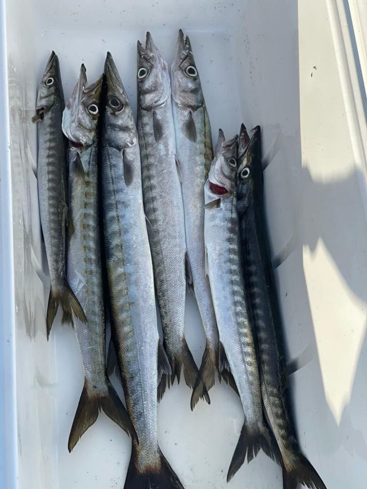 Морская рыбалка в Барселоне - 980€ - Ref: 9662 фото 12