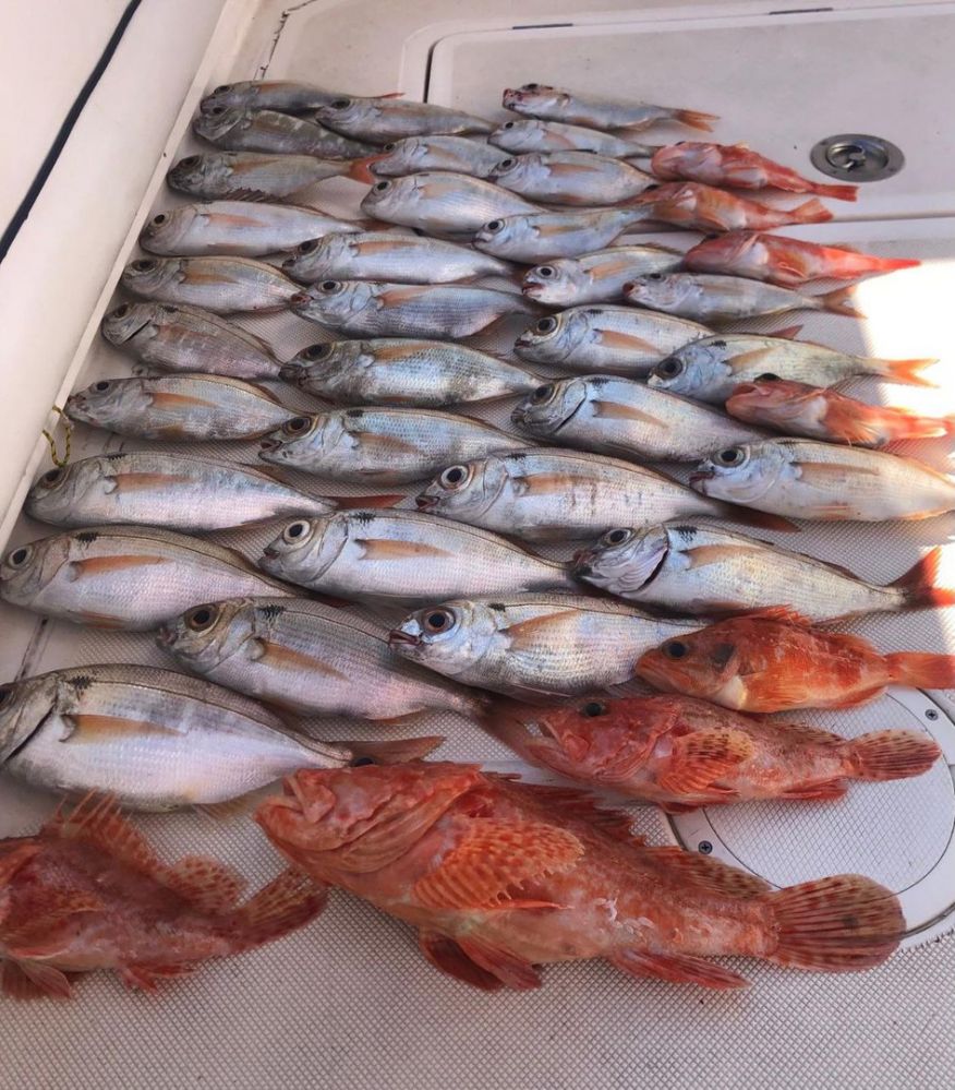 Морская рыбалка в Барселоне - 980€ - Ref: 9662 фото 13