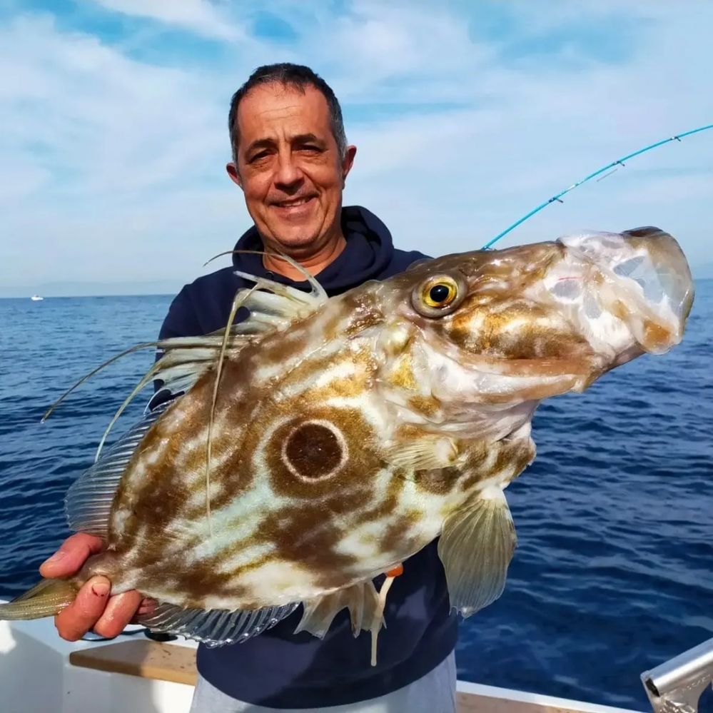 Рыбалка в море на больших рыб  в Барселоне - 2300€ - Ref: 9666 фото 5