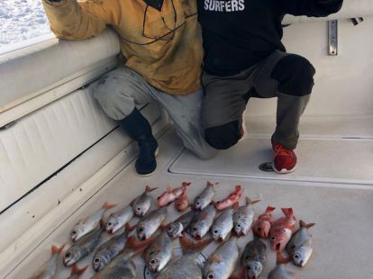 Морская рыбалка в Барселоне - 980€ - Ref: 9662 фото 8