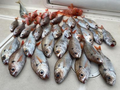 Морская рыбалка в Барселоне - 980€ - Ref: 9662 фото 9