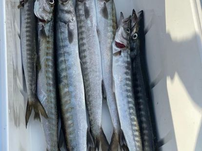 Морская рыбалка в Барселоне - 980€ - Ref: 9662 фото 12