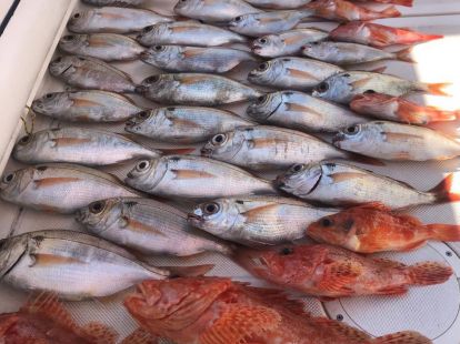 Морская рыбалка в Барселоне - 980€ - Ref: 9662 фото 13