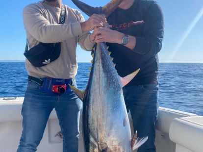 Sport fishing for big fish (ID:9665)