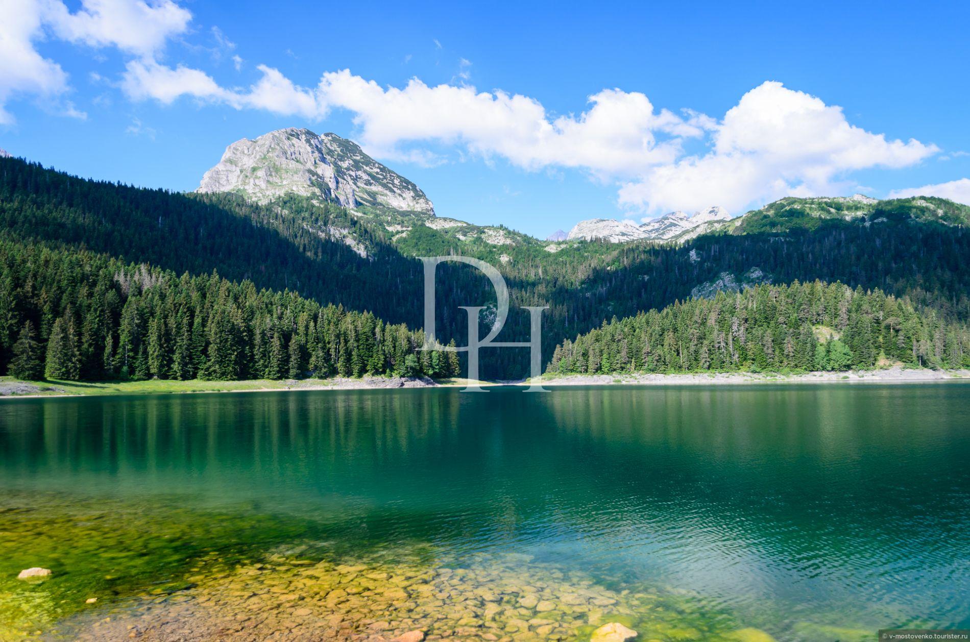 Земля, Чорногорія, О. Жабляк, Жабляк, 124 960 € фото 3