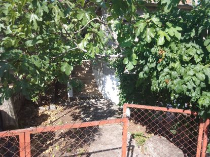 House / Cottage, Montenegro, С. Bar, Uteha, 95 000 € photo 5