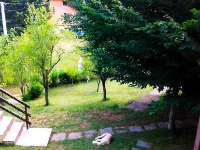 House / Cottage, Montenegro, Kolasin c., Kolasin, 67 000 € photo 6