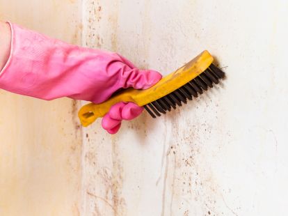 Cleaning the walls (ID:9813)