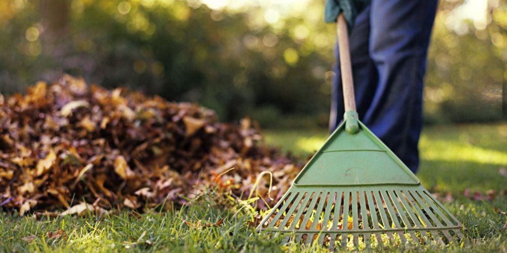Уборка территории дома в Лондоне - Ref: 9897 фото 1