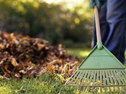 Cleaning of the house territory (ID:9897)