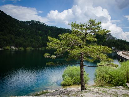 Land in Niksic, Montenegro for 300 000€ (ID:66204)