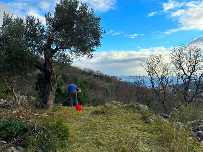 Parcel, Montenegro, С. Bar, Sutomore, 45 000 € photo 4