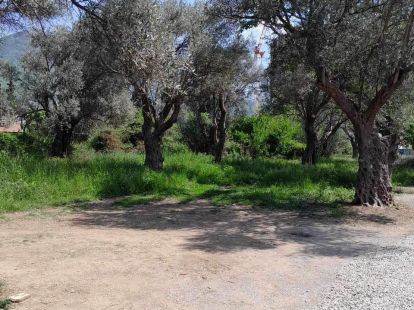 Land in Bar, Montenegro for 100 000€ (ID:66423)