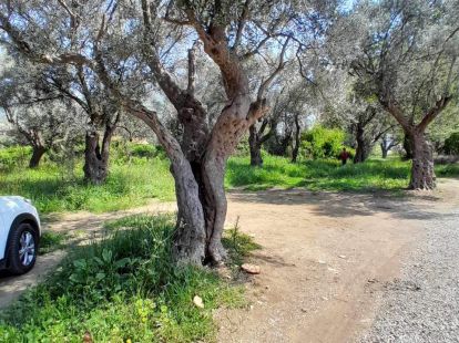 Parcel, Montenegro, С. Bar, Bar, 100 000 € photo 2