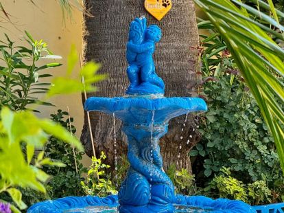 Будинок / Вілла, Іспанія, регион Валенсія, Торревьєха, 395 000 € фото 6