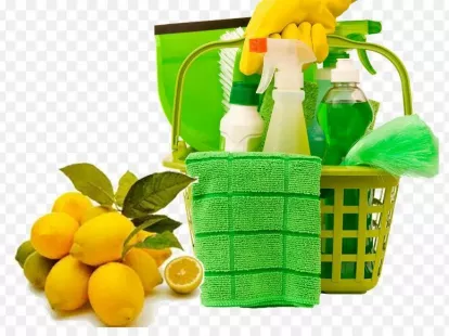 ECO-cleaning (ID:10305)