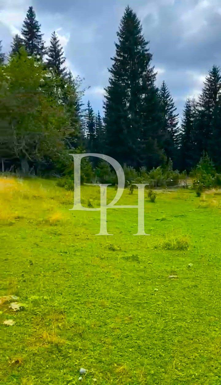 Земля, Черногория, О.  Жабляк, Жабляк, 55 € фото 1