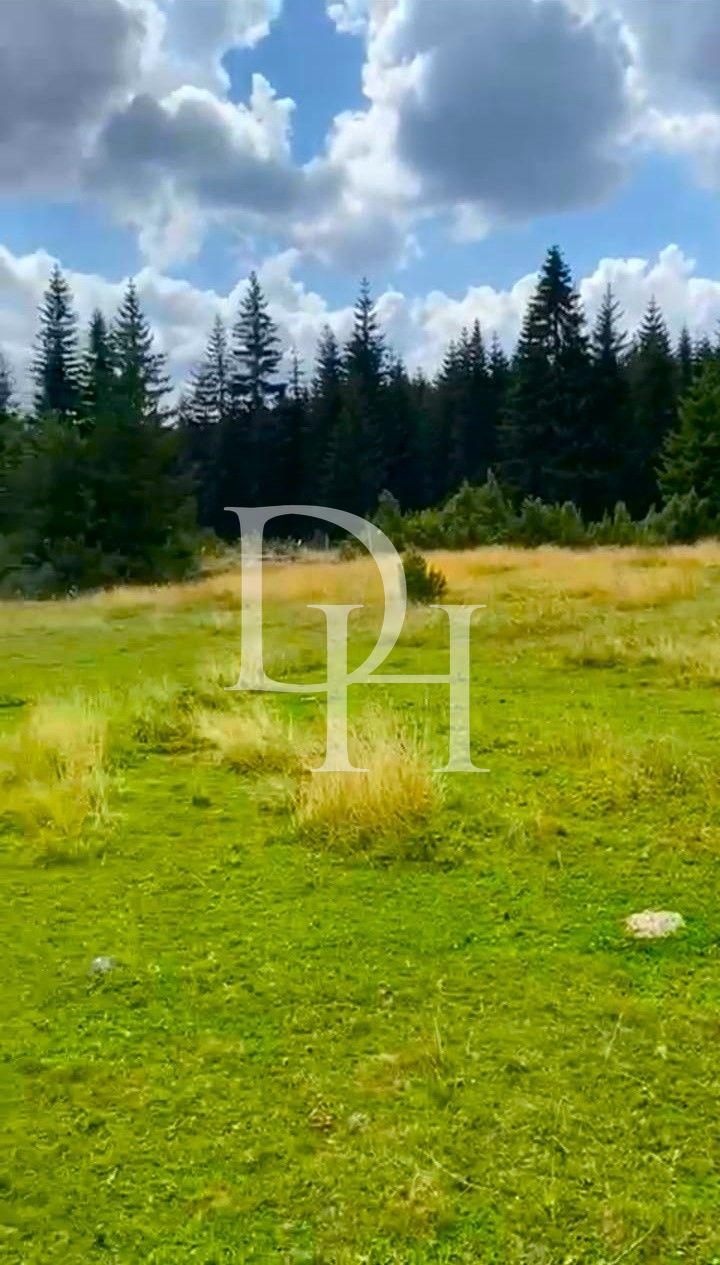 Земля, Черногория, О.  Жабляк, Жабляк, 55 € фото 3