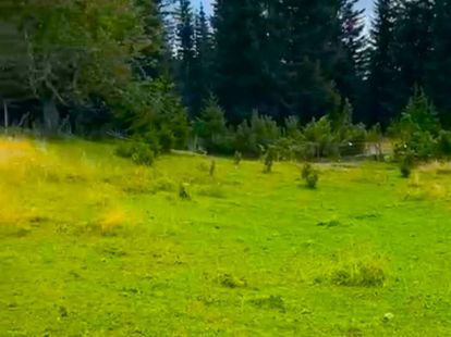 Land in Zabljak, Montenegro for 55€ (ID:67114)