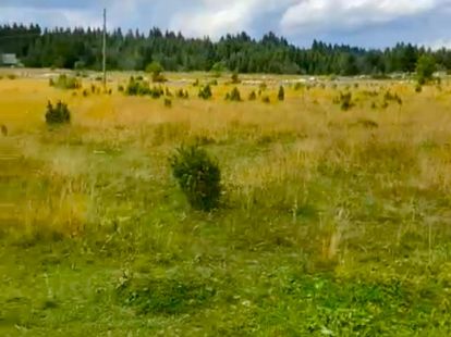 Земля, Черногория, О.  Жабляк, Жабляк, 55 € фото 2