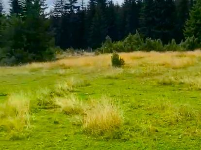 Земля, Черногория, О.  Жабляк, Жабляк, 55 € фото 3