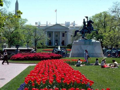 Городской парк - Президентский парк Washington (ID:10570)