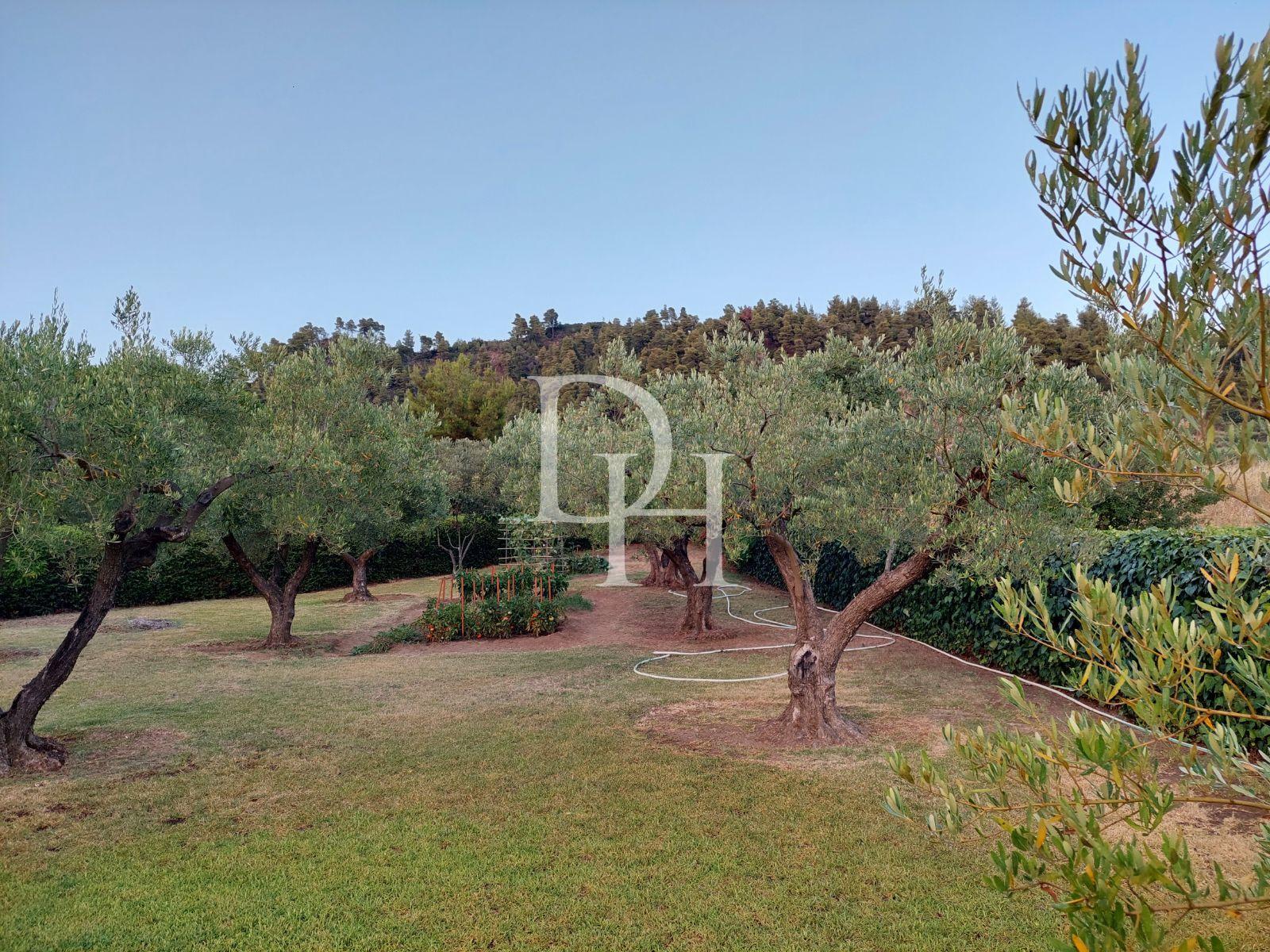 House, Greece, Halkidiki, Kassandra, 306 000 € photo 13