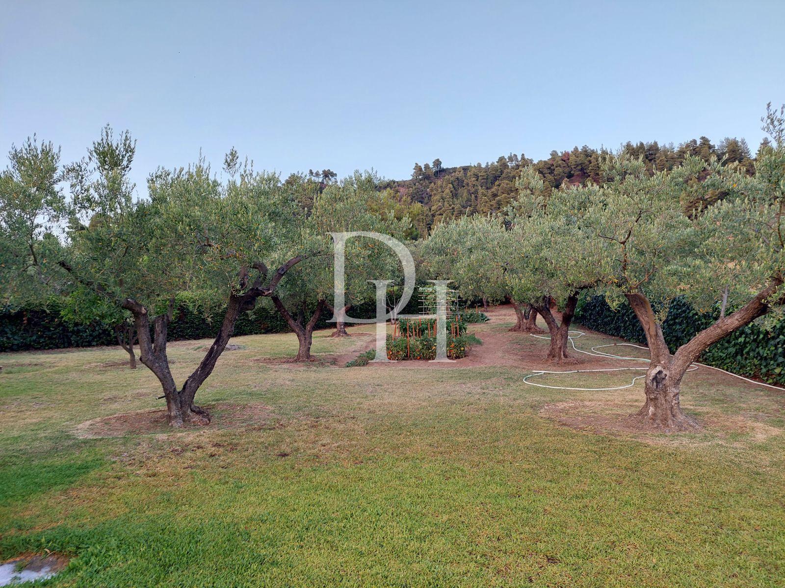 House, Greece, Halkidiki, Kassandra, 306 000 € photo 3