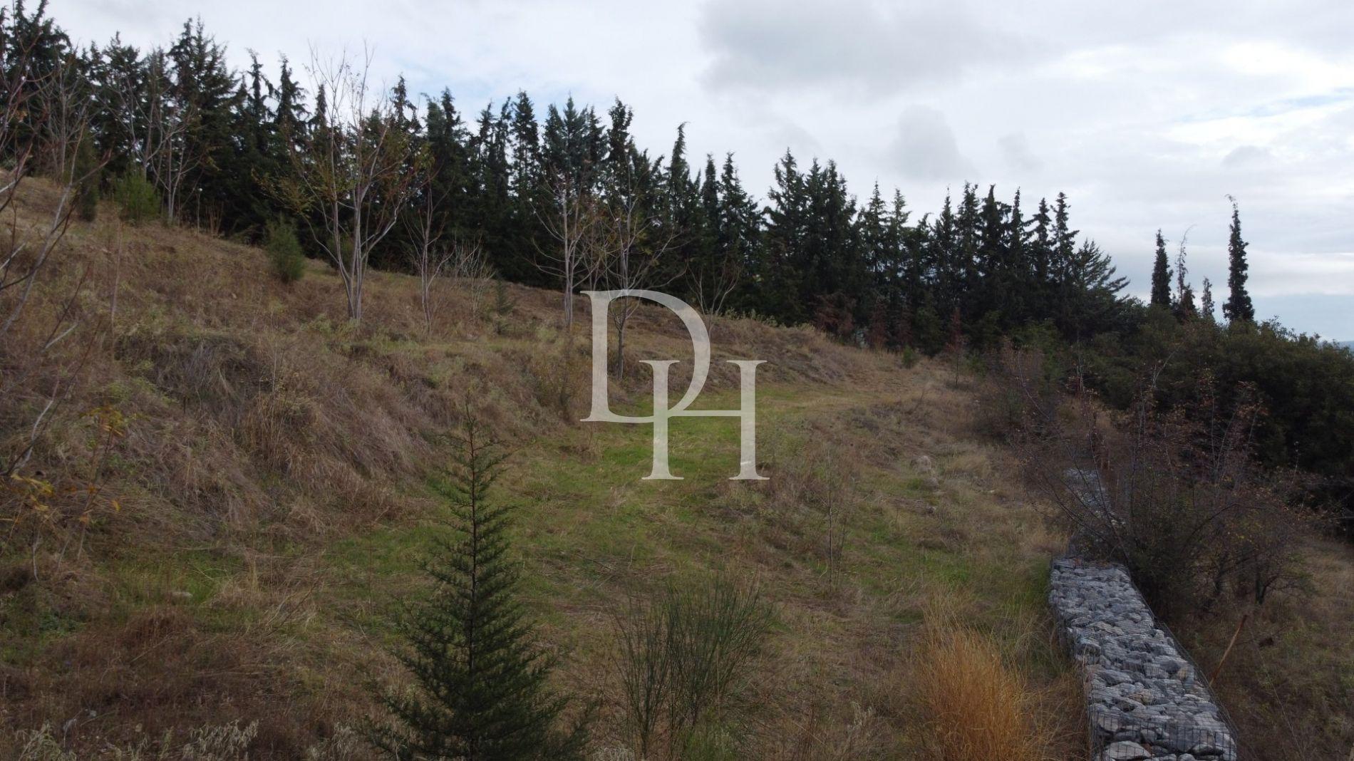 Земля, Греция, Центральная Македония, Салоники, 500 000 € фото 14