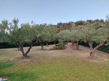 House, Greece, Halkidiki, Kassandra, 306 000 € photo 3