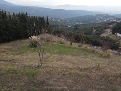 Земля, Греция, Центральная Македония, Салоники, 500 000 € фото 7