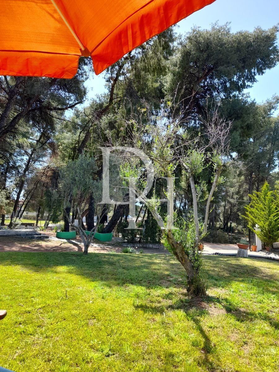 Commercial property / Hotel, Greece, Halkidiki, Sithonia, 460 000 € photo 2