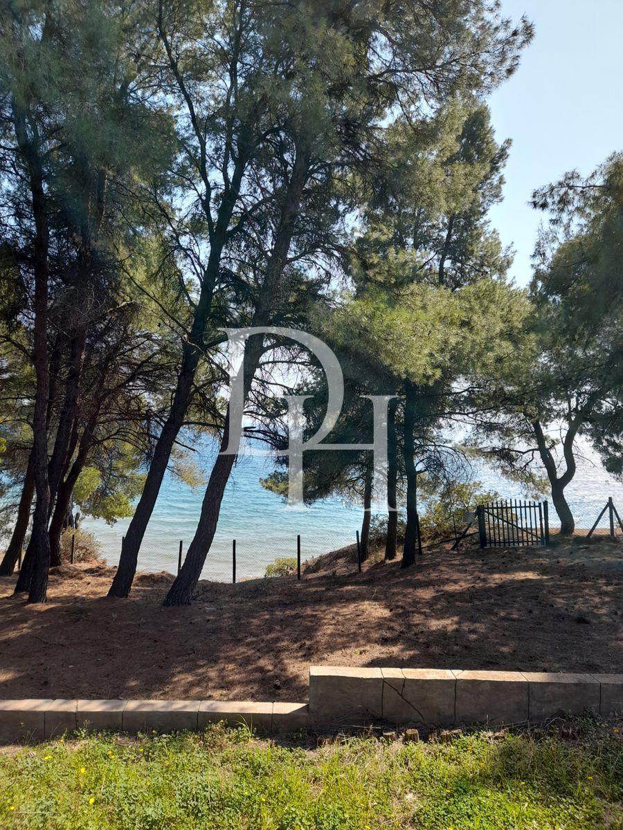 Commercial property / Hotel, Greece, Halkidiki, Sithonia, 460 000 € photo 4