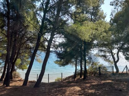 Commercial property / Hotel, Greece, Halkidiki, Sithonia, 460 000 € photo 4