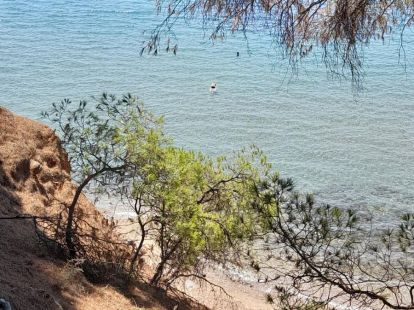 Commercial property / Hotel, Greece, Halkidiki, Sithonia, 460 000 € photo 6