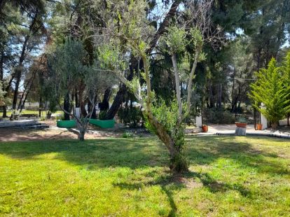 Commercial property / Hotel, Greece, Halkidiki, Sithonia, 460 000 € photo 7