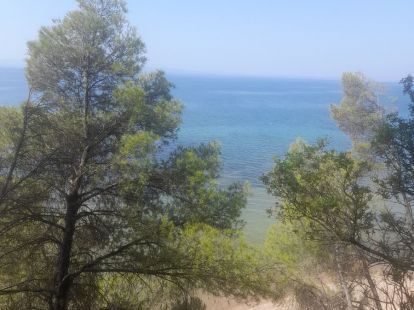 Commercial property / Hotel, Greece, Halkidiki, Sithonia, 460 000 € photo 8