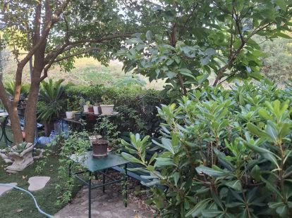 Apartments, Montenegro, С. Bar, Bar, 108 000 € photo 12