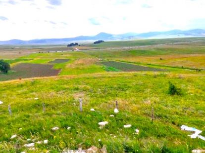 Parcel, Montenegro, Zabljak c., Zabljak, 105 000 € photo 6