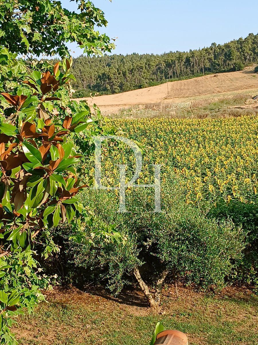 Дом / Коттедж, Греция, Халкидики, Кассандра, 240 000 € фото 7